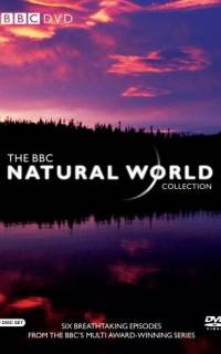 смотреть BBC: Живой мир