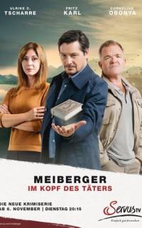смотреть Майбергер. В голове преступника.