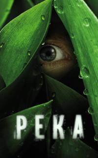 Река