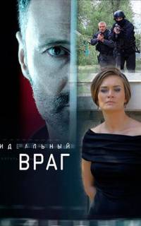Идеальный враг