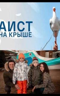Аист на крыше