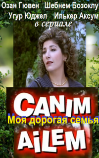 Дорогая моя семья