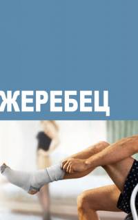 смотреть Жеребец