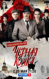 Чёрная кошка