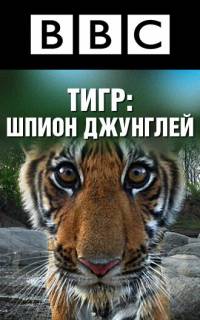 BBC: Тигр — Шпион джунглей