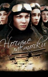 Ночные ласточки