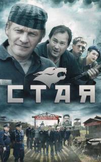 смотреть Стая 