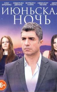 Июньская ночь