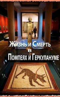 Жизнь и смерть в Помпеях и Геркулануме