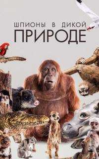 смотреть Шпионы в дикой природе
