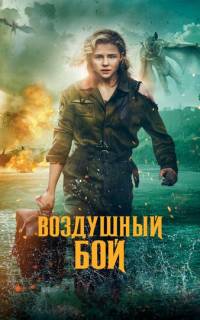 Воздушный бой