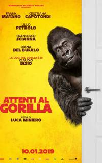 Attenti al gorilla