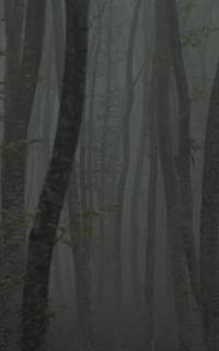 Katafigio II: The Ice Path