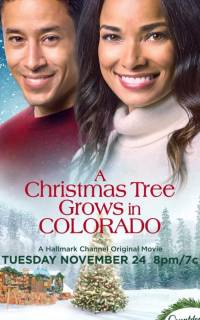 A Christmas Tree Grows in Colorado
