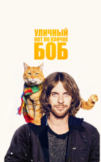 Уличный кот по кличке Боб