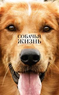 Собачья жизнь