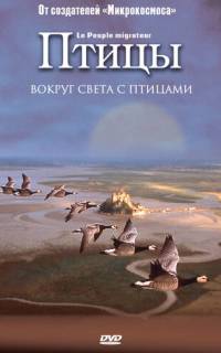 Птицы