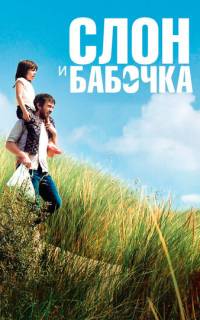 Слон и бабочка