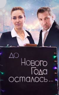 До Нового года осталось…