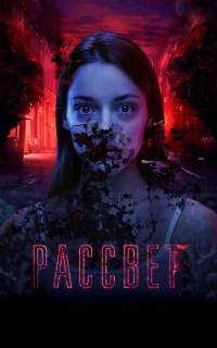 смотреть Рассвет