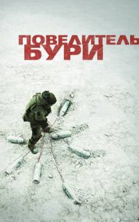 Повелитель бури