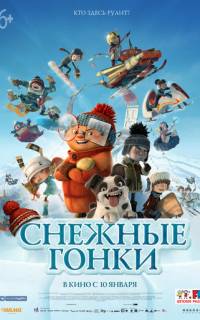 Снежные гонки