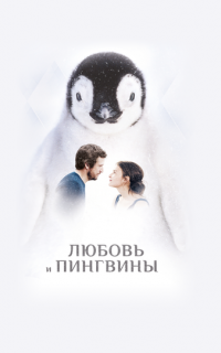 Любовь и пингвины
