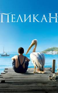 Пеликан