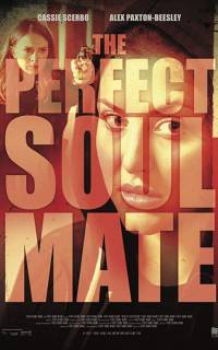 смотреть The Perfect Soulmate
