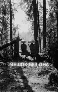 Мешок без дна