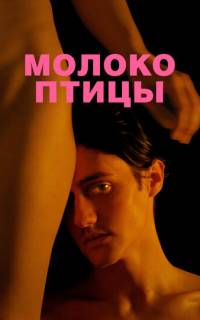 Молоко птицы