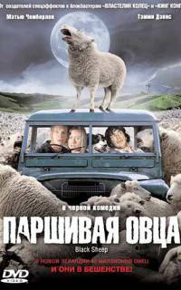 Паршивая овца