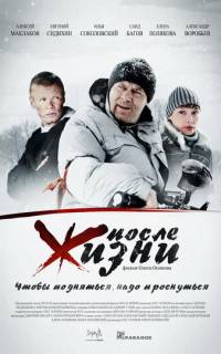После жизни