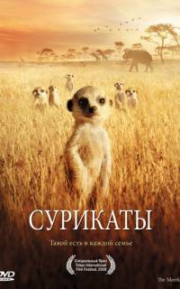Сурикаты