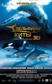 Дельфины и киты 3D