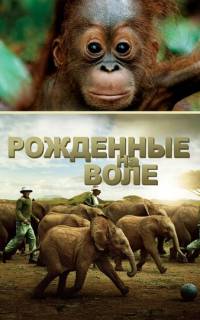 смотреть Рожденные на воле