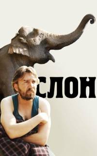 смотреть Слон