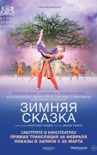 Зимняя сказка