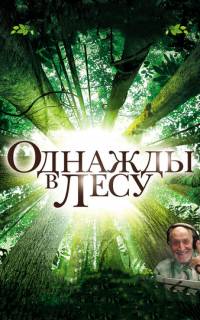 Однажды в лесу