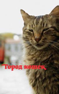 Город кошек