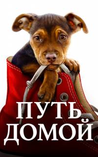 смотреть Путь домой