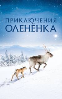 смотреть Приключения олененка