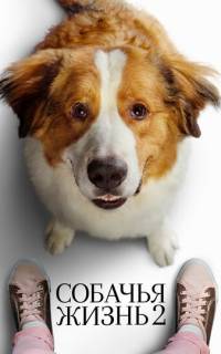 Собачья жизнь 2