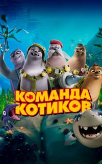 Команда котиков