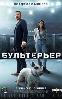 смотреть Бультерьер