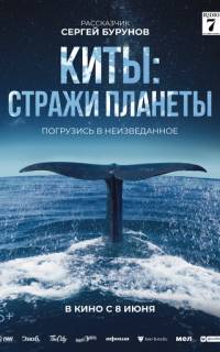 смотреть Киты: Стражи планеты