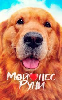 смотреть Мой пёс Руни
