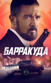 Барракуда