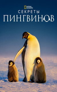 смотреть Тайны пингвинов