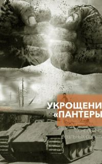 Укрощение «Пантеры»
